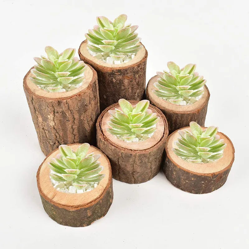 Wooden Candlestick and Succulent Plant Pot